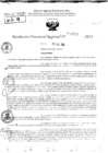 Vista preliminar de documento RDR 9509-2024