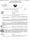 Vista preliminar de documento RDR 9512-2024