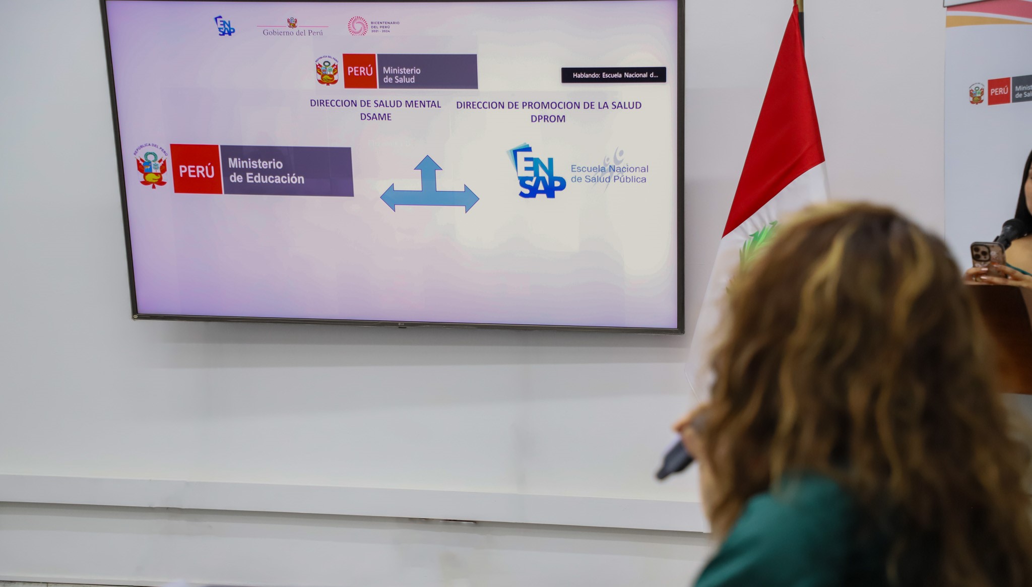 Curso “Riesgos en salud mental y primeros auxilios psicológicos en niños, niñas y adolescentes en instituciones educativas” como parte del Programa de Formación “Promoción y cuidado de la salud integral en instituciones educativas”.