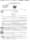 Vista preliminar de documento RDR 9513-2024