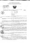 Vista preliminar de documento RDR 9514-2024