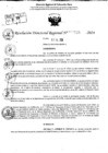 Vista preliminar de documento RDR 9515-2024