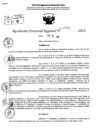 Vista preliminar de documento RDR 9518-2024