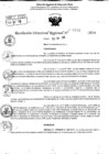 Vista preliminar de documento RDR 9519-2024