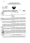 Vista preliminar de documento RDR 9521-2024