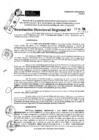 Vista preliminar de documento RDR 9523-2024