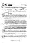 Vista preliminar de documento RDR 9527-2024