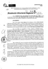 Vista preliminar de documento RDR 9530-2024