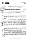 Vista preliminar de documento RDR 9532-2024