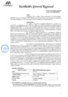 Vista preliminar de documento RGR GRI 239-2024