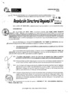 Vista preliminar de documento RDR 9538-2024