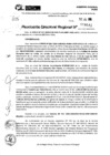 Vista preliminar de documento RDR 9541-2024