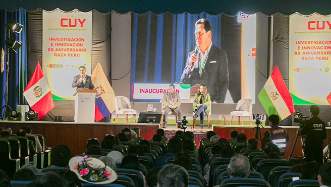 Mas de 3000 personas participan de la Convención Internacional del Cuyicola (CICUY) en Huarmey.