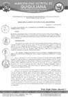 Vista preliminar de documento RGM-236-2024