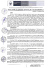 Vista preliminar de documento RGM 193 2024
