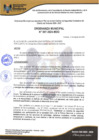 Vista preliminar de documento Ord_Municipal_N007-2024-MDO