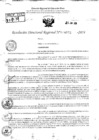 Vista preliminar de documento RDR 8992-2024
