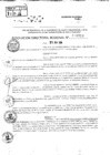 Vista preliminar de documento RDR 8993-2024