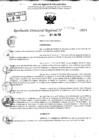 Vista preliminar de documento RDR 8996-2024
