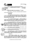 Vista preliminar de documento RDR 9001-2024