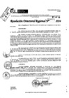 Vista preliminar de documento RDR 9002-2024