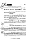 Vista preliminar de documento RDR 9003-2024