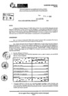 Vista preliminar de documento RDR 9006-2024