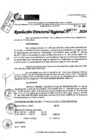 Vista preliminar de documento RDR 9007-2024
