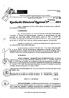 Vista preliminar de documento RDR 9008-2024