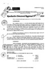 Vista preliminar de documento RDR 9009-2024