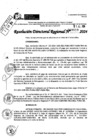 Vista preliminar de documento RDR 9010-2024