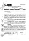 Vista preliminar de documento RDR 9011-2024