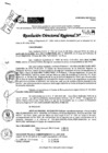 Vista preliminar de documento RDR 9013-2024