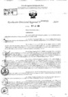 Vista preliminar de documento RDR 9015-2024