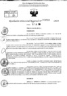 Vista preliminar de documento RDR 9016-2024