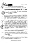 Vista preliminar de documento RDR 9018-2024