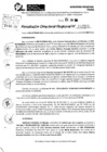 Vista preliminar de documento RDR 7981-2024