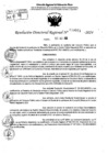 Vista preliminar de documento RDR 9941-2024