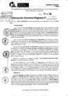 Vista preliminar de documento RDR 9967-2024