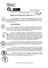 Vista preliminar de documento RDR 9995-2024