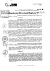 Vista preliminar de documento RDR 10019-2024
