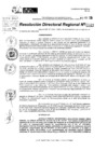 Vista preliminar de documento RDR 10021-2024