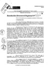 Vista preliminar de documento RDR 10050-2024