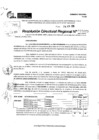 Vista preliminar de documento RDR 10073-2024