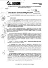 Vista preliminar de documento RDR 10075-2024