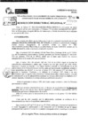 Vista preliminar de documento RDR 10099-2024