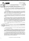 Vista preliminar de documento RDR 10102-2024