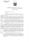 Vista preliminar de documento RER N°600-2024-GRA.GR