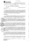 Vista preliminar de documento RGA-219-2024-MDJM