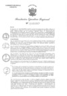 Vista preliminar de documento RER N°601-2024-GRA.GR